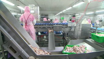 慶云和美食品銷售額突破2億元，產(chǎn)業(yè)興旺助力周邊就業(yè)改善